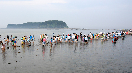 Daecheon Beach [photo]