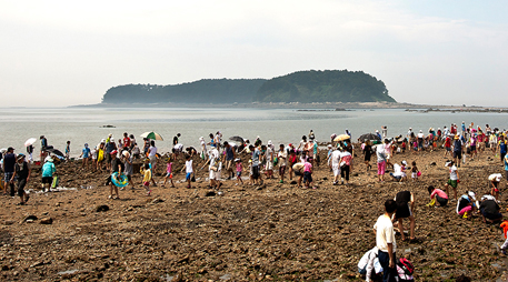 Daecheon Beach [photo]