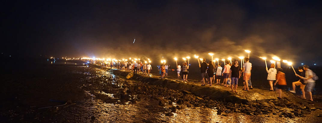 Daecheon Beach [festival]