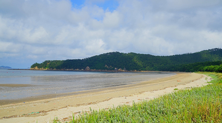 Daecheon island [photo]