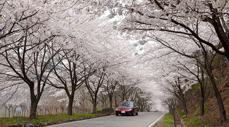 Daecheon Mountain [photo]