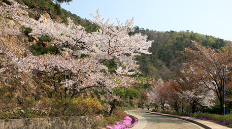 Daecheon Mountain [photo]