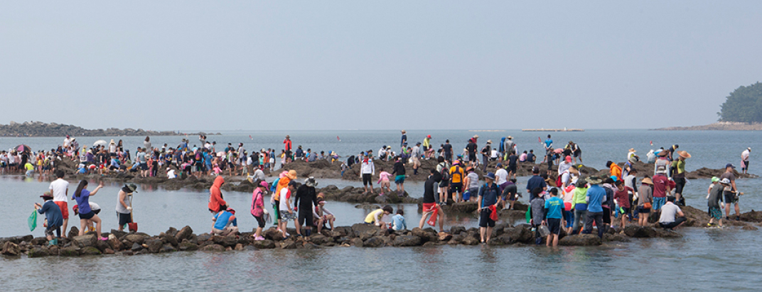 Daecheon Beach [festival]