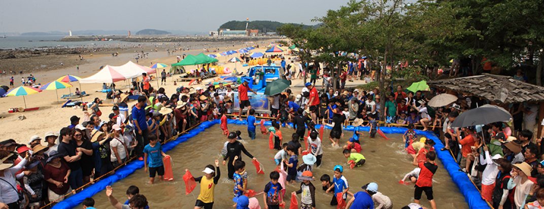 Daecheon Beach [festival]