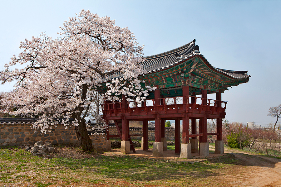 Daecheon Heritage [photo]