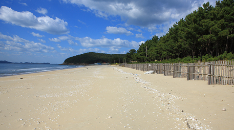 Daecheon island [photo]