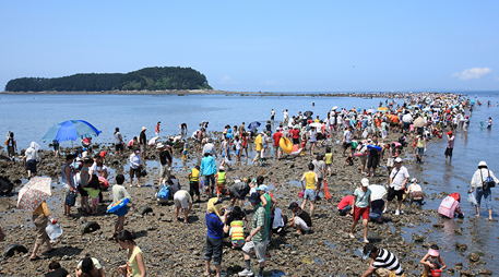 Daecheon Beach [photo]