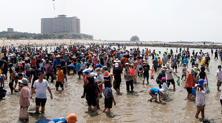 Daecheon Beach [photo]