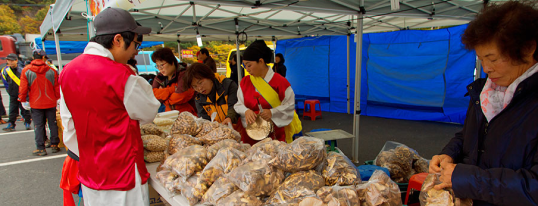 Daecheon Beach [festival]