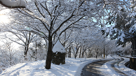 Daecheon Mountain [photo]