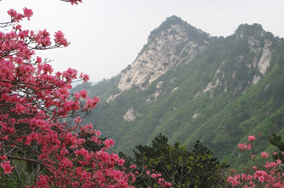 중국 호북성 마성시 배경