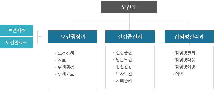 보건소조직도이미지