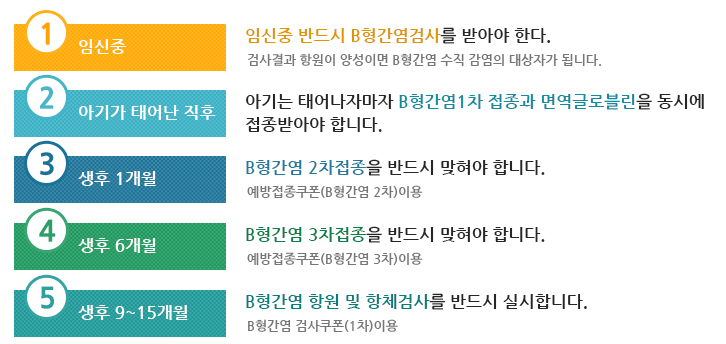 첫번째 임신중- 임신중 반드시 B형간염검사를 받아야 한다. 검사결과 항원이 양성이면 B형간염 수직 감염의 대상자가 됩니다., 두번째  아기가 태어난 직후-아기는 태어나자마자 B형간염1차 접종과 면역글로블린을 동시에접종받아야 합니다., 세번째 생후 1개월-B형간염 2차접종을 반드시 맞혀야 합니다.예방접종쿠폰(B형간염 2차)이용, 네번째 생후 6개월-B형간염 3차접종을 반드시 맞혀야 합니다. 예방접종쿠폰(B형간염 3차)이용, 다섯번째 생후 9~15개월-B형간염 항원 및 항체검사를 반드시 실시합니다.B형간염 검사쿠폰(1차)이용