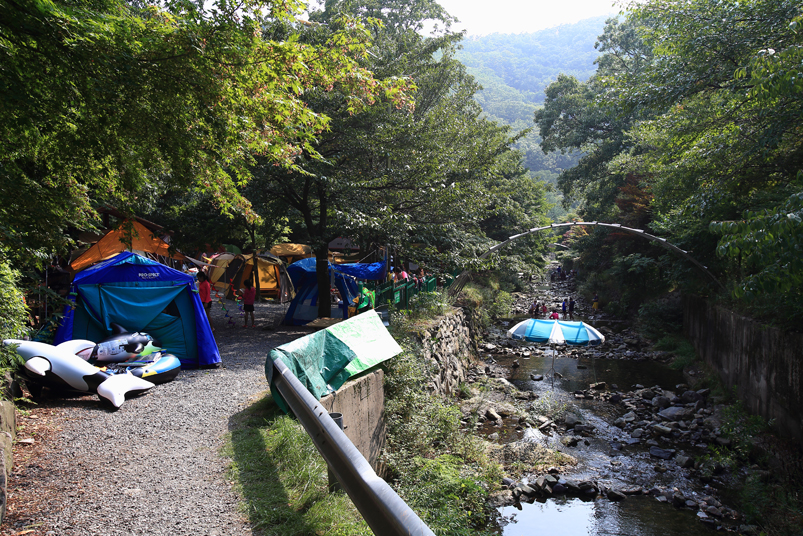 성주산휴양림 관련 이미지25