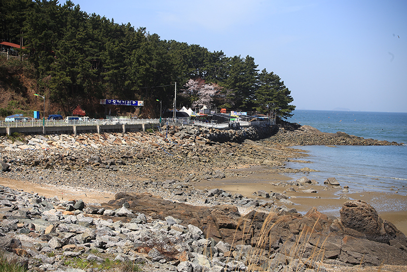 죽도 관련 이미지17-1