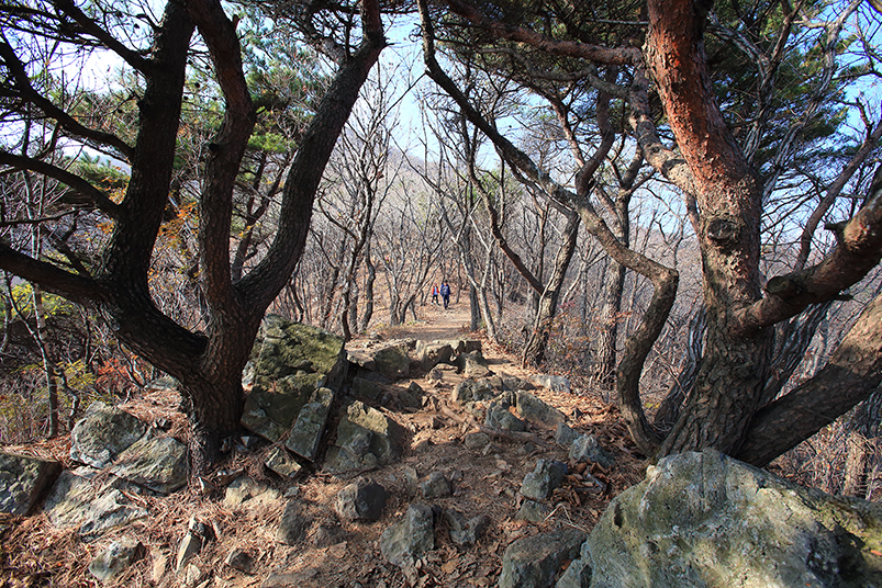 오서산 관련 이미지29