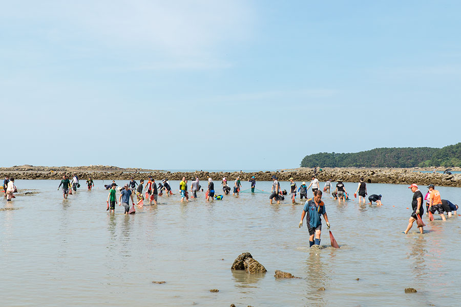 보령 독산리 독살(保寧 獨山里 독살)