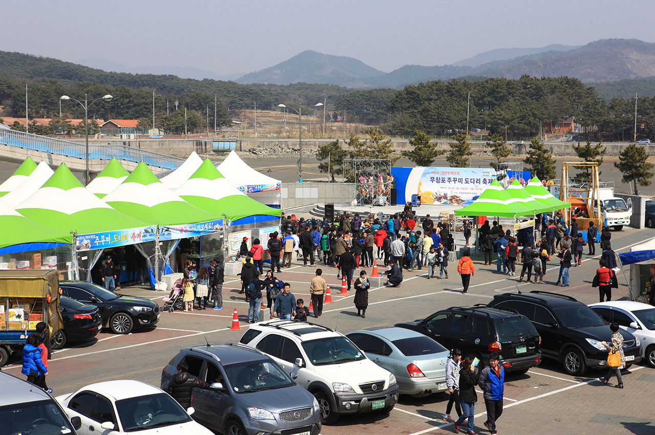 무창포 주꾸미도다리축제 사진