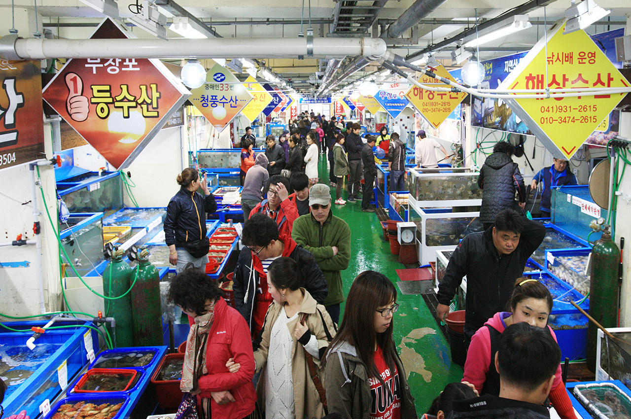 무창포 주꾸미도다리축제 사진