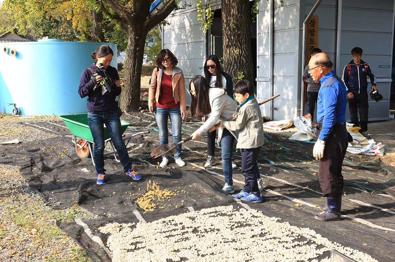 은행마을축제 사진