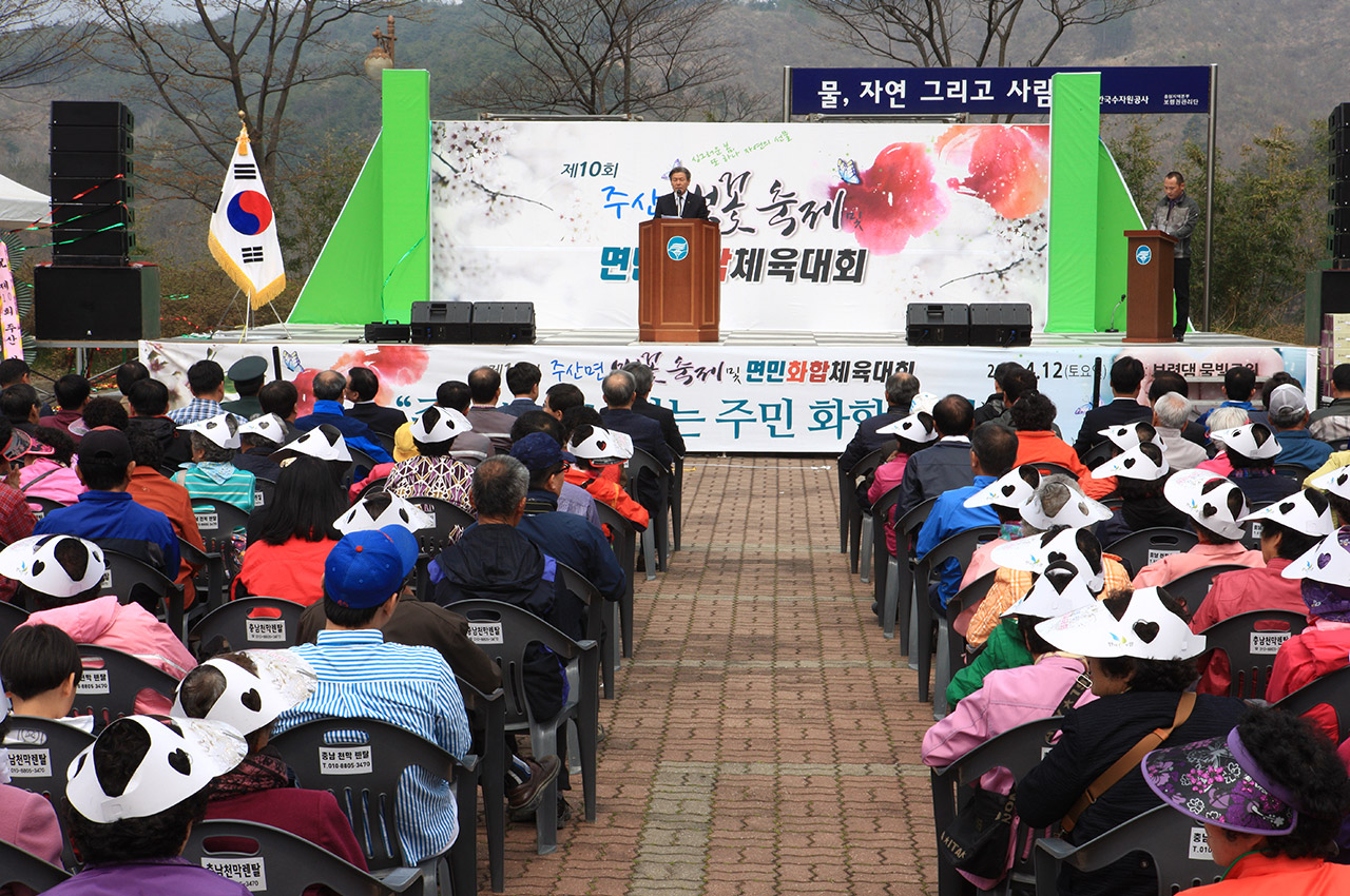 주산벚꽃축제 사진