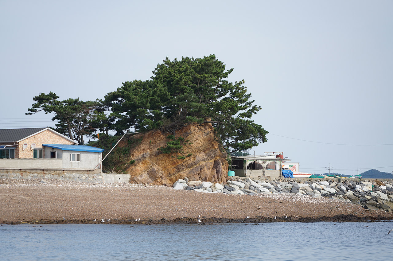 장고도 사진