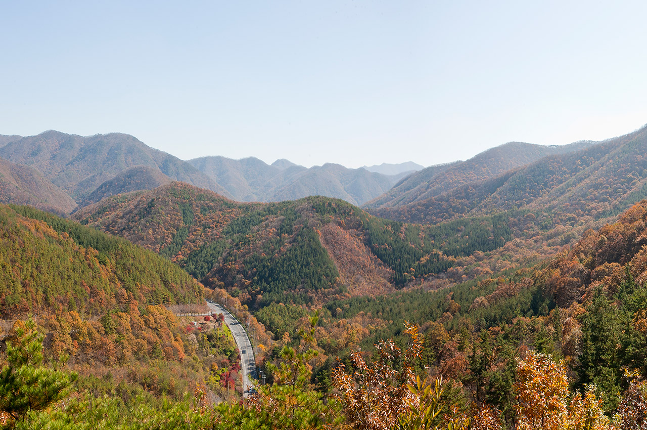 성주산 사진