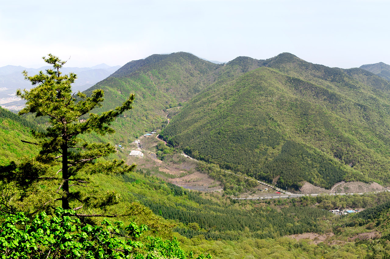 성주산 사진