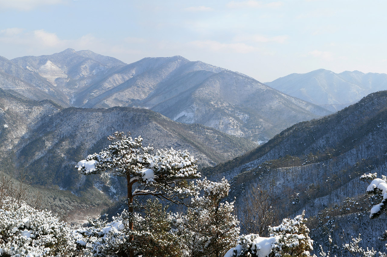 성주산 사진