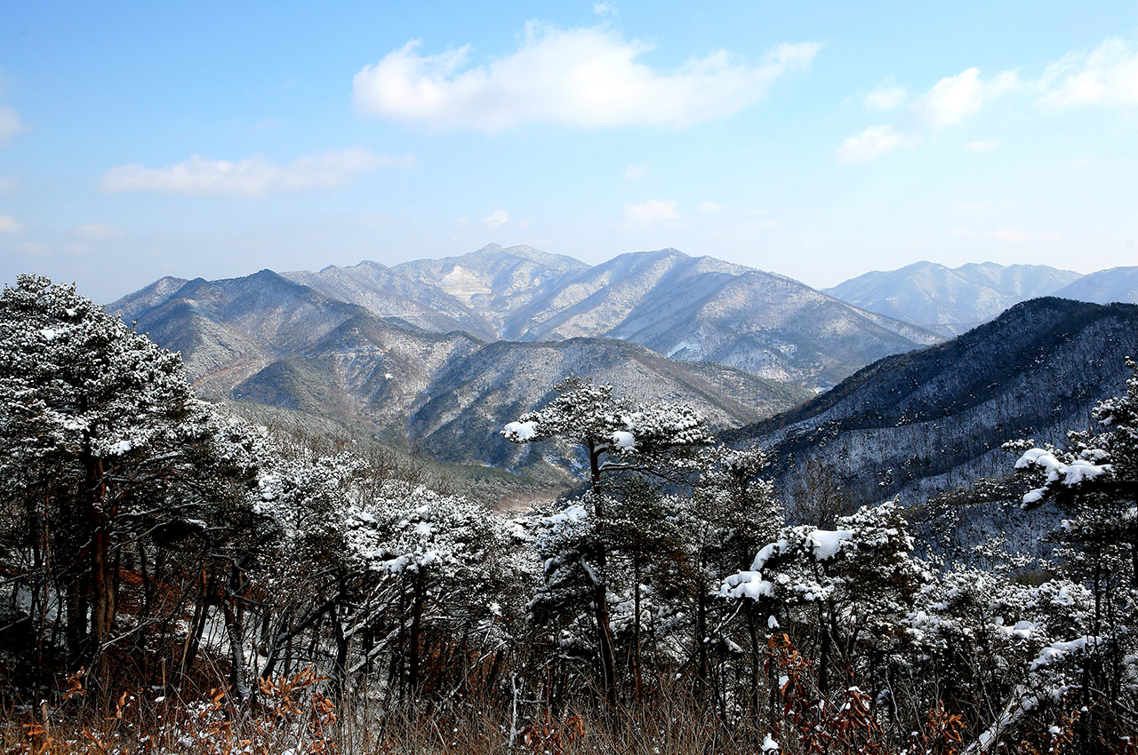 성주산 사진