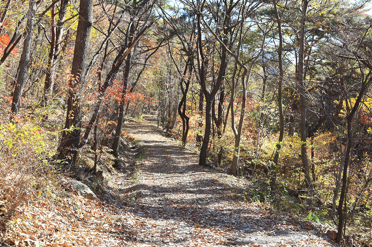 성주산 사진