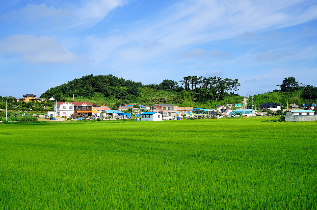 삽시도 사진