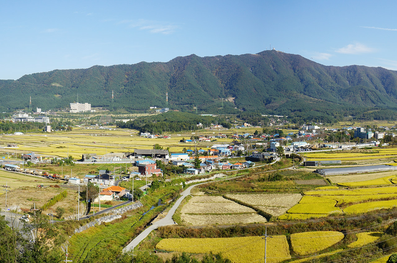 옥마산 사진