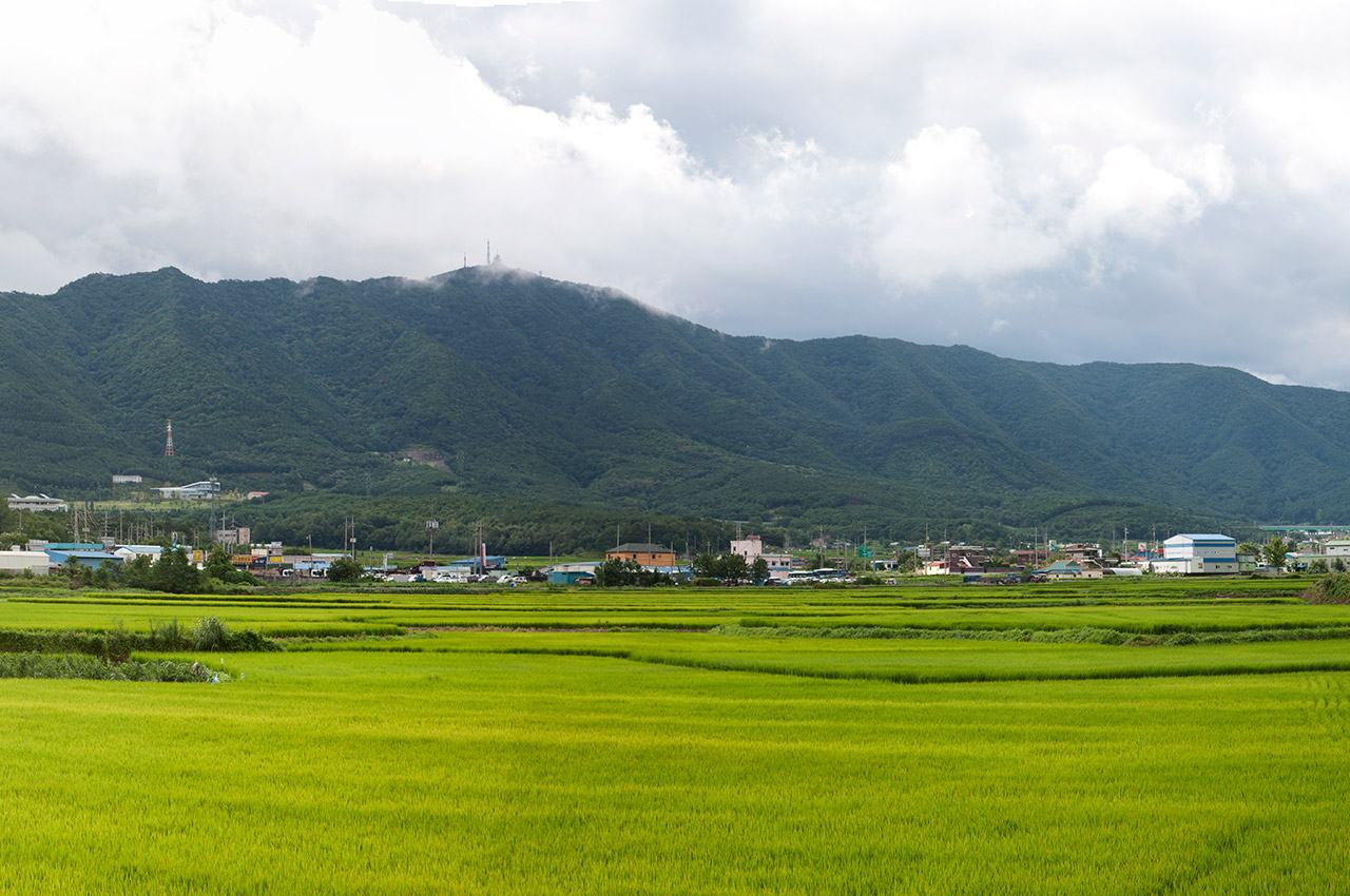 옥마산 사진