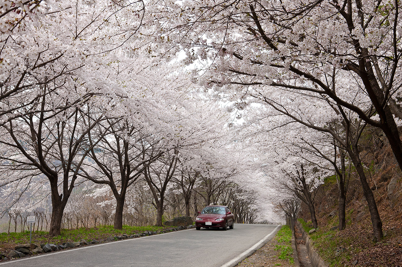 옥마산 사진