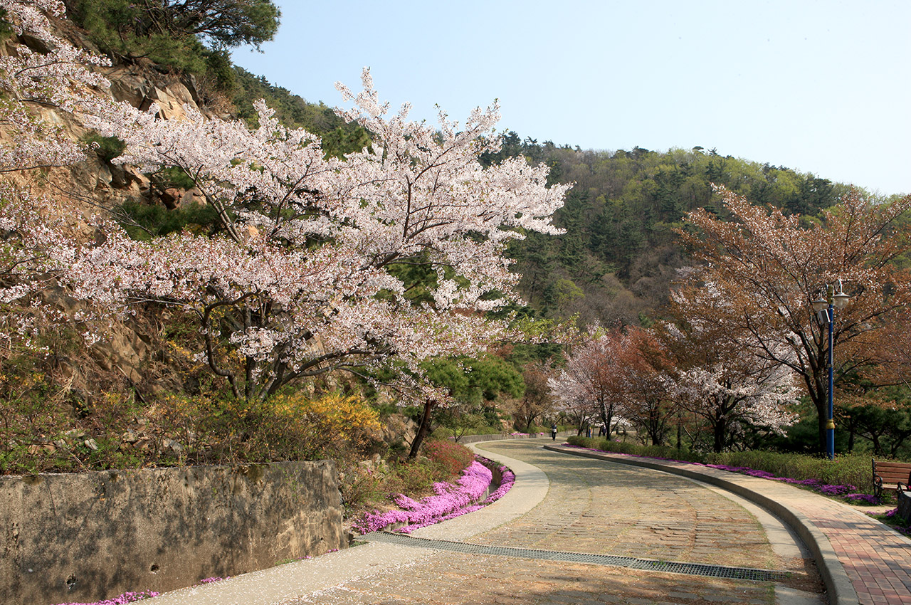 옥마산 사진