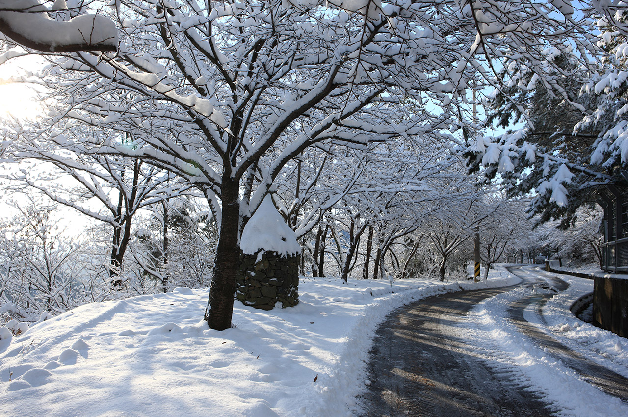 옥마산 사진