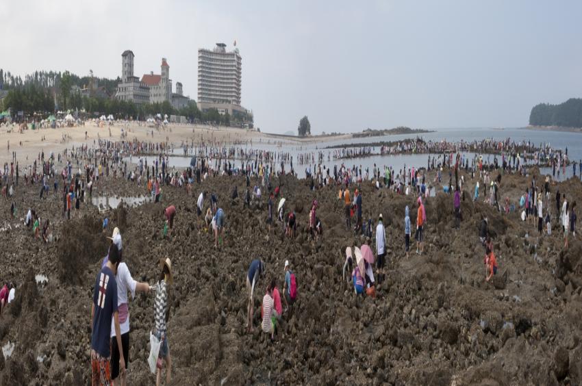 무창포 해수욕장 오는 15일 본격 개장